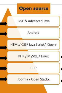 大學軟件工程專業中的外包服務分方向 機遇、挑戰與人才培養路徑